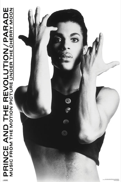 Prince Poster 61x91.5cm