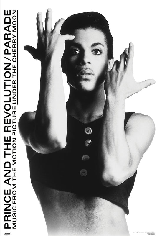 Prince Poster 61x91.5cm
