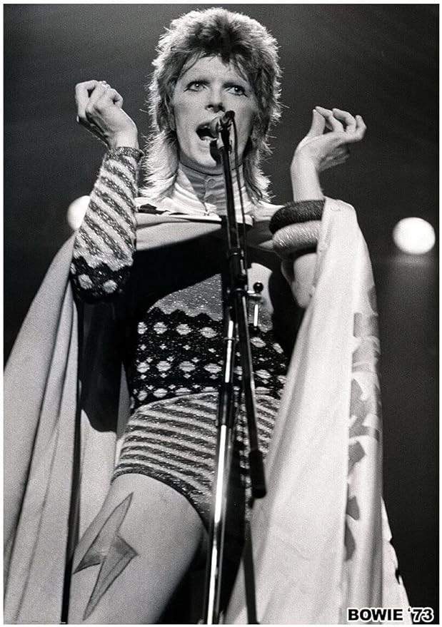 David Bowie 1973 (A1 59.5x84cm) Poster
