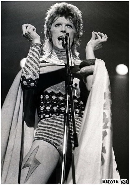 David Bowie 1973 (A1 59.5x84cm) Poster