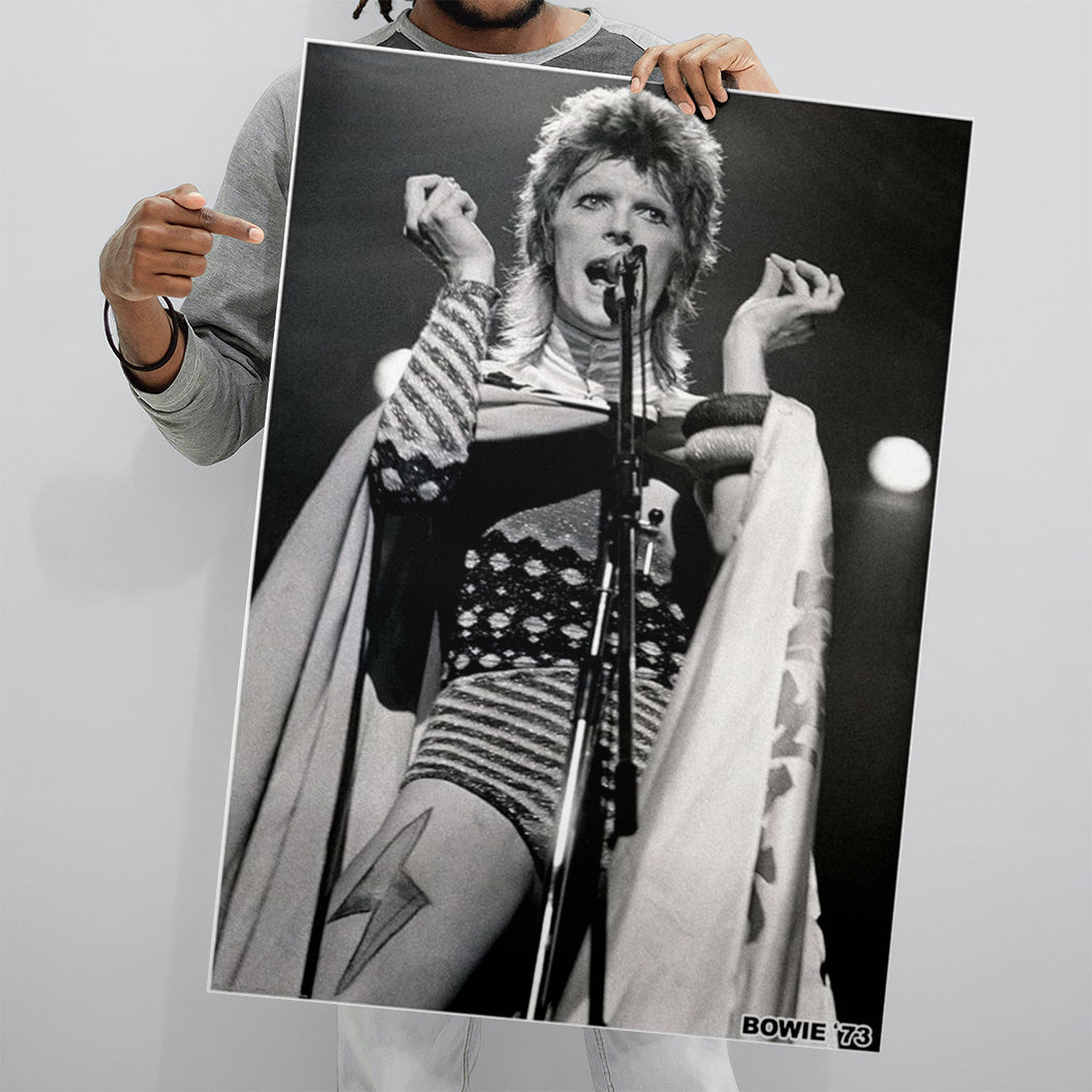 David Bowie 1973 (A1 59.5x84cm) Poster