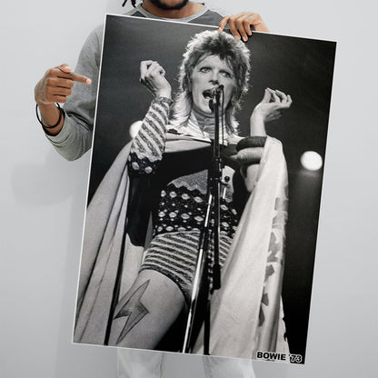 David Bowie 1973 (A1 59.5x84cm) Poster