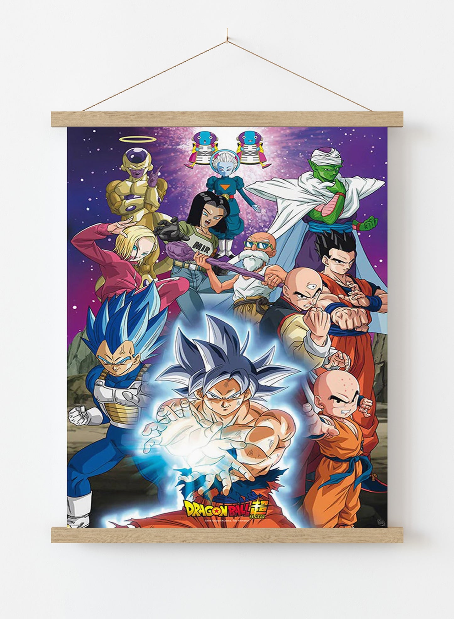 Dragon Ball Universe 61 x 91.5cm Maxi Poster