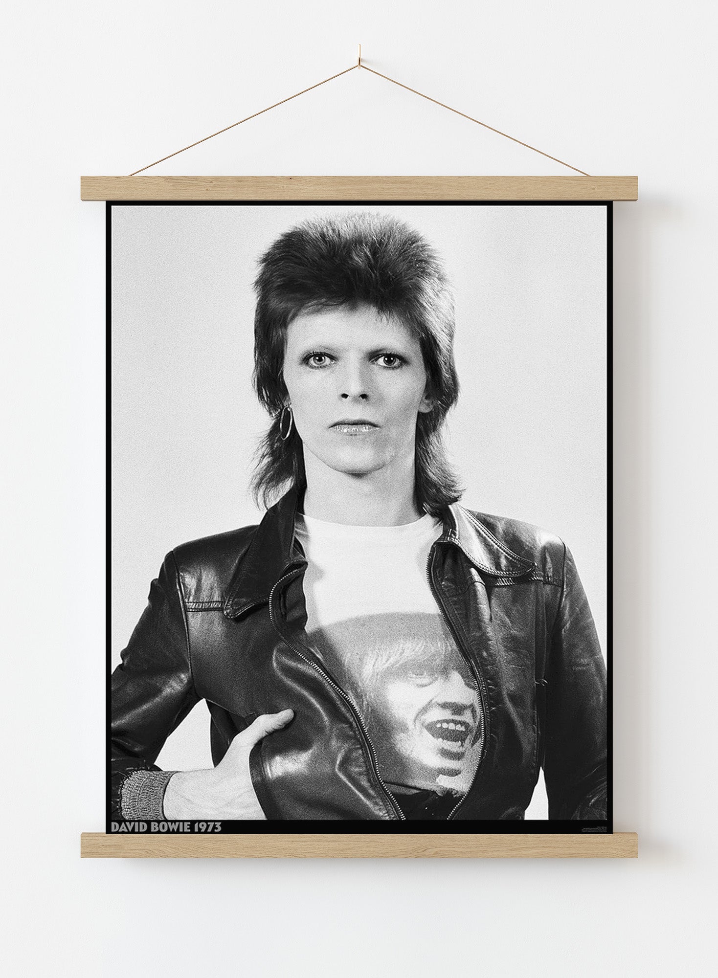 David Bowie 1973 (A1 59.5x84cm) Poster