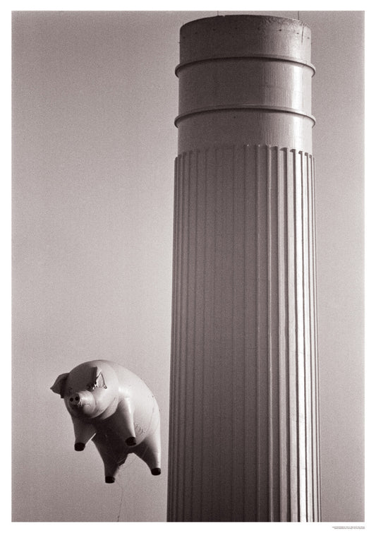 Pink Floyd Pig at Battersea (A1 59.5x84cm) Poster