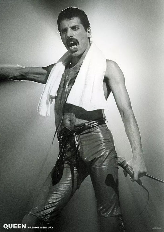 Frediie Mercury Queen (A1 59.5x84cm) Poster