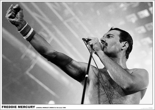 Freddie Mecury Live (A1 59.5x84cm) Poster