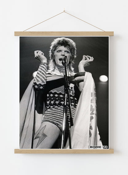 David Bowie 1973 (A1 59.5x84cm) Poster
