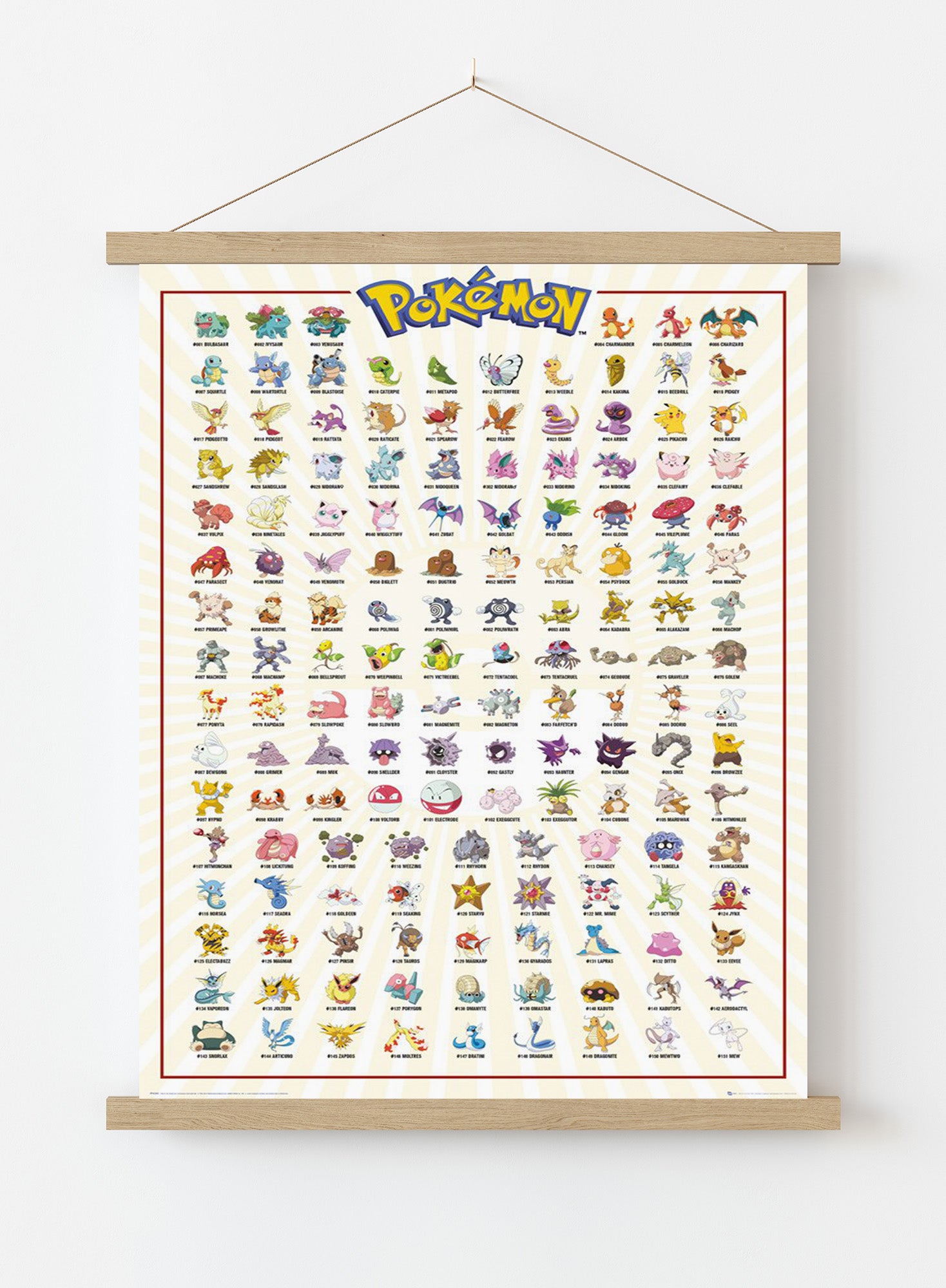 Pokemon Regular Poster (61x91.5cm)