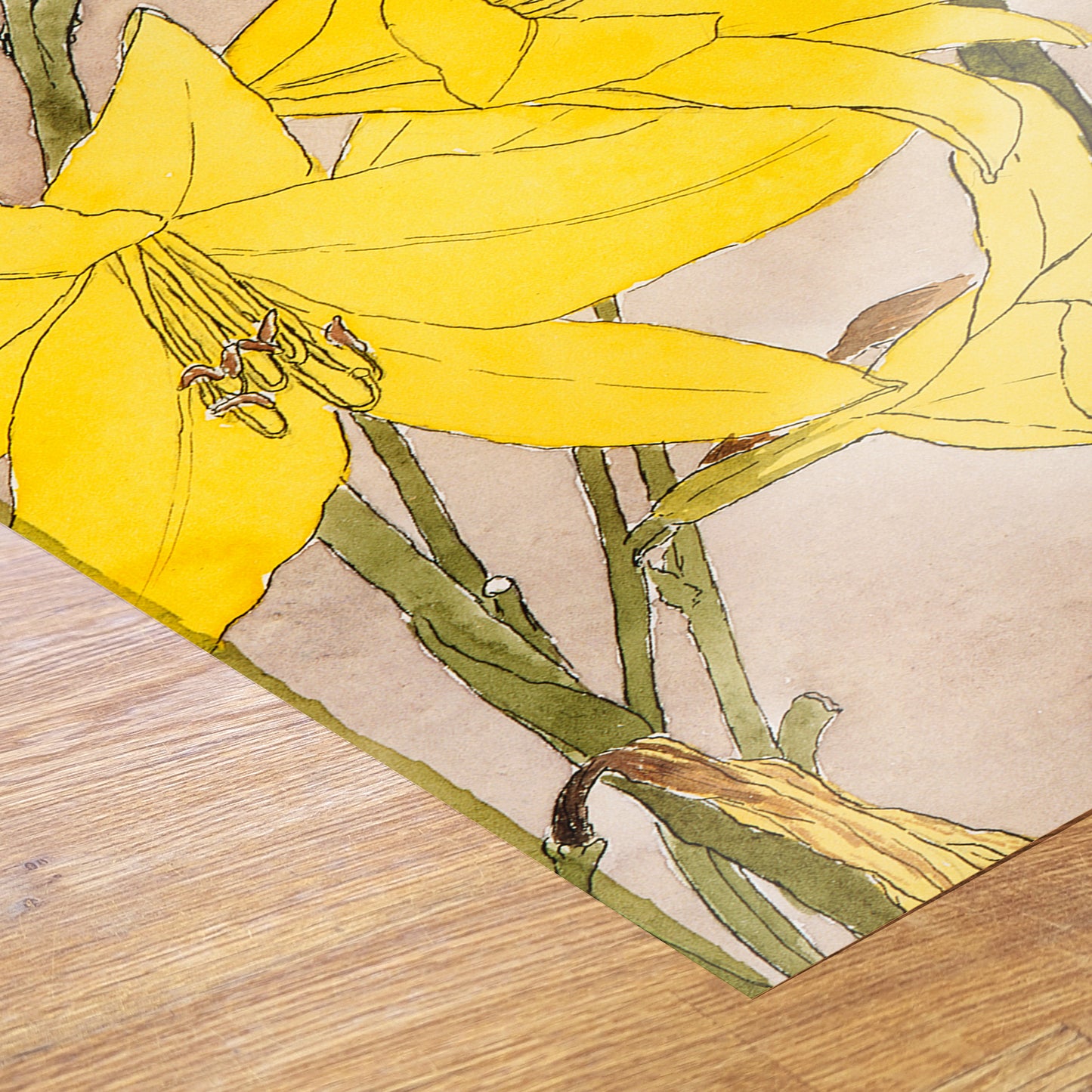 Yellow Daylily by Hannah Borger Overbeck Print – Hannah Borger Overbeck Vintage Art Wall Art 50x70cm