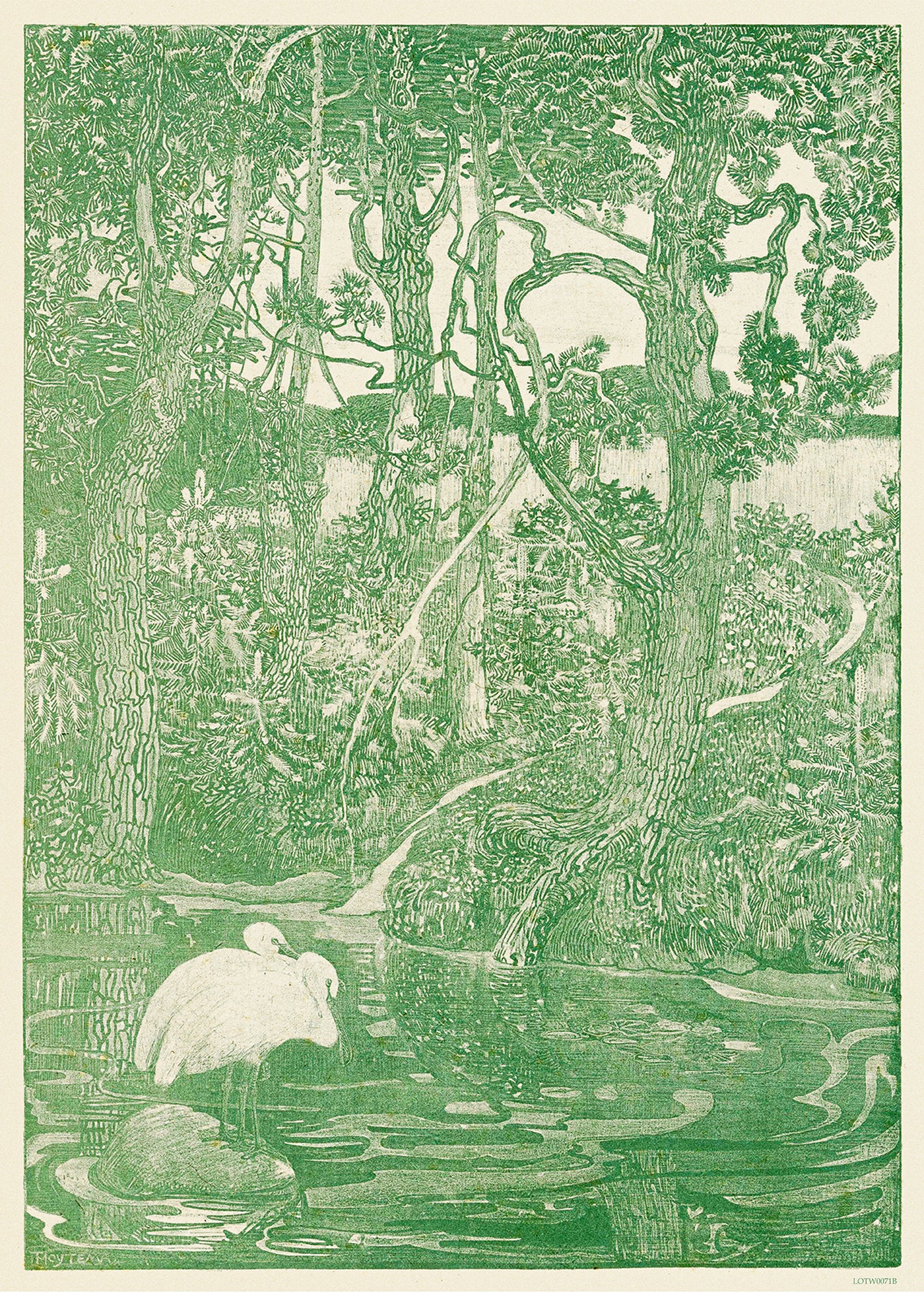 Two Herons in a Forest Pond 50x70cm Art Print By Theo Van Hoytema