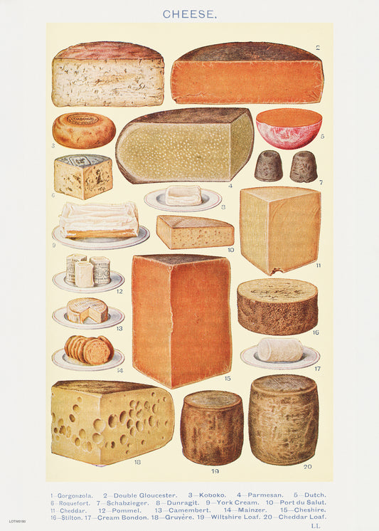 Cheese Chart Poster 50x70cm Art Print