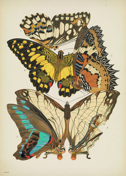 Art Deco Butterflies by Émile-Alain Séguy 50x70cm Art Print