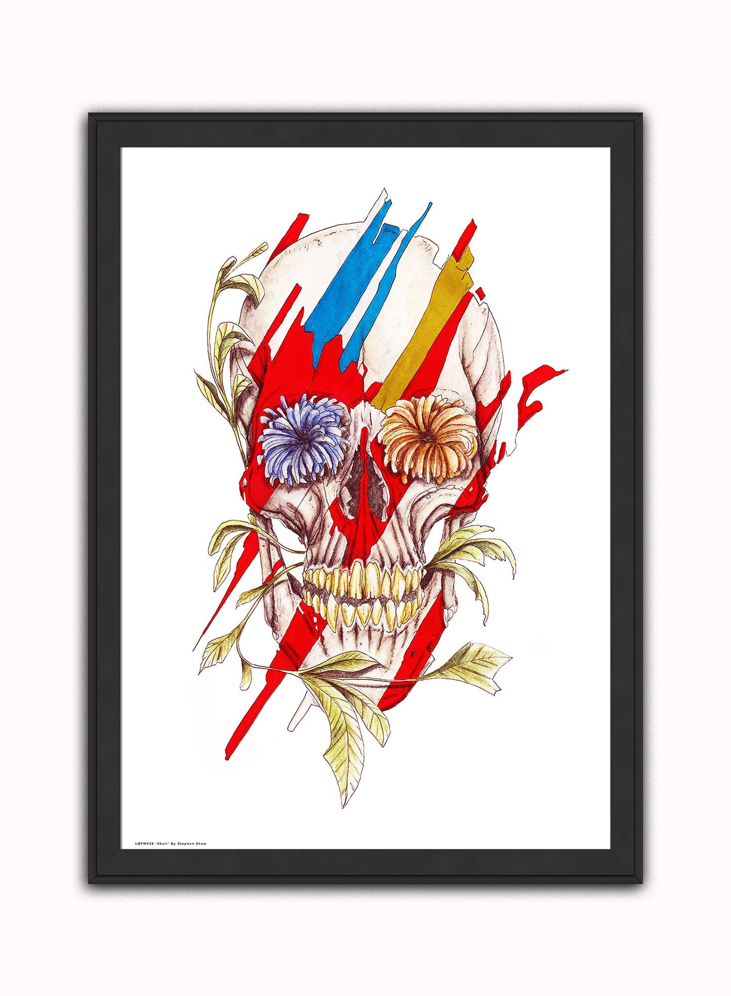 Skull Print – Stephen Shaw Vintage Art Wall Art 70x50cm Black Frame