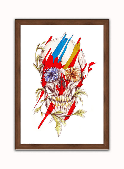 Skull Print – Stephen Shaw Vintage Art Wall Art 70x50cm Dark Wood Frame