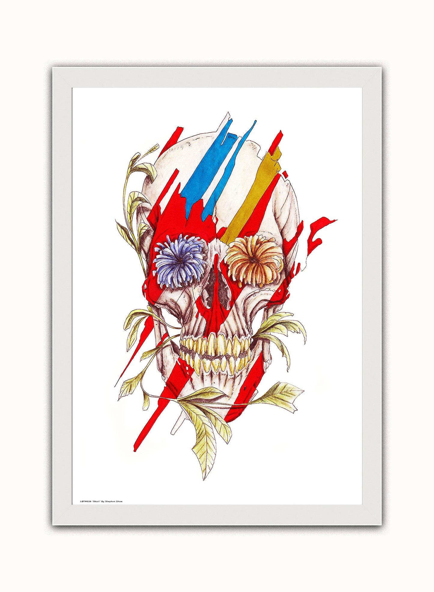 Skull Print – Stephen Shaw Vintage Art Wall Art 70x50cm White Frame