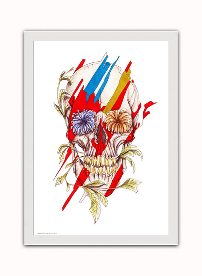Skull Print – Stephen Shaw Vintage Art Wall Art 70x50cm White Frame