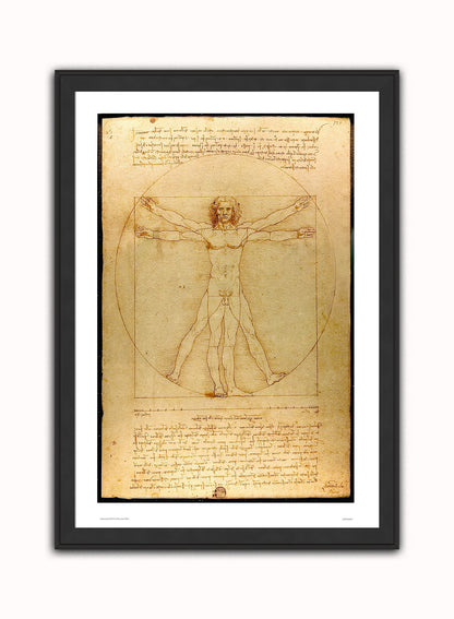 Leonardo Da Vinci Vitruvian man, art history, anatomical study, classic Art Print Poster Vintage Poster Wall Art Print 50x70cm Black Frame