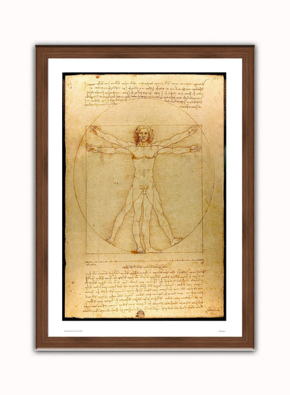 Leonardo Da Vinci Vitruvian man, art history, anatomical study, classic Art Print Poster Vintage Poster Wall Art Print 50x70cm Dark Wood Frame