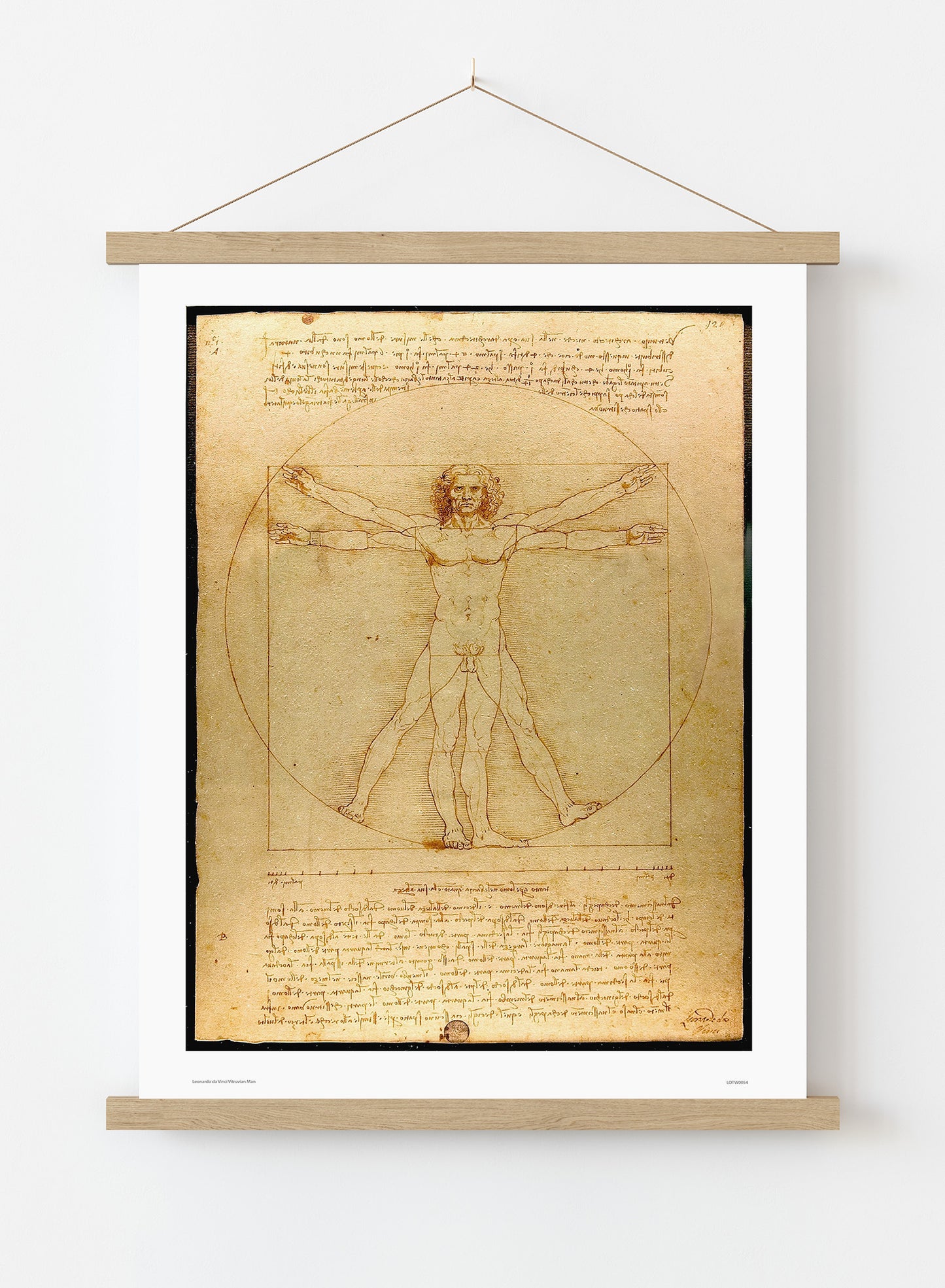 Leonardo Da Vinci Vitruvian man, art history, anatomical study, classic Art Print Poster Vintage Poster Wall Art Print 50x70cm Poster Hanger