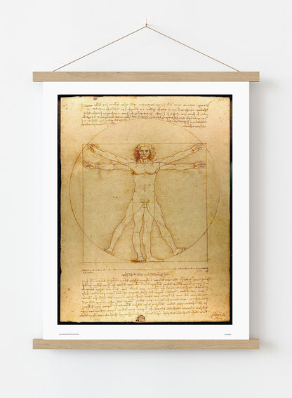 Leonardo Da Vinci Vitruvian man, art history, anatomical study, classic Art Print Poster Vintage Poster Wall Art Print 50x70cm Poster Hanger