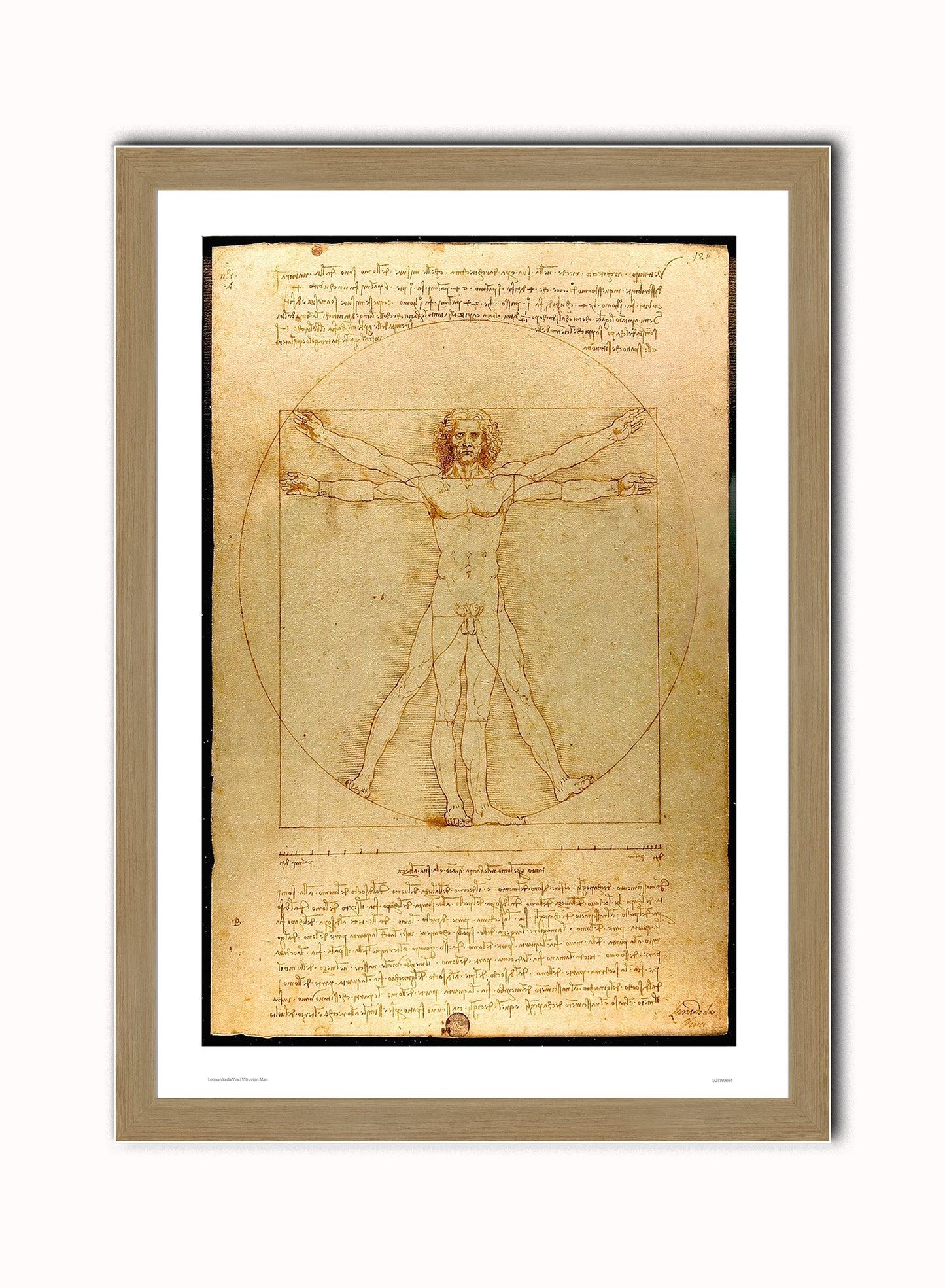 Leonardo Da Vinci Vitruvian man, art history, anatomical study, classic Art Print Poster Vintage Poster Wall Art Print 50x70cm Light Wood Frame
