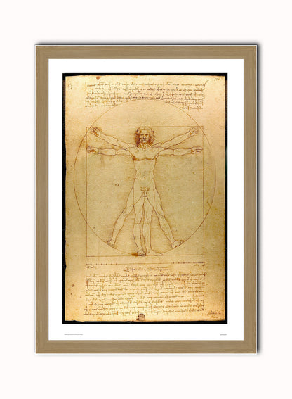 Leonardo Da Vinci Vitruvian man, art history, anatomical study, classic Art Print Poster Vintage Poster Wall Art Print 50x70cm Light Wood Frame