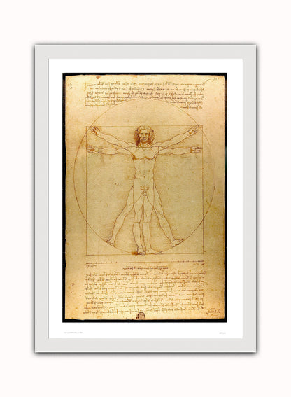 Leonardo Da Vinci Vitruvian man, art history, anatomical study, classic Art Print Poster Vintage Poster Wall Art Print 50x70cm White Frame