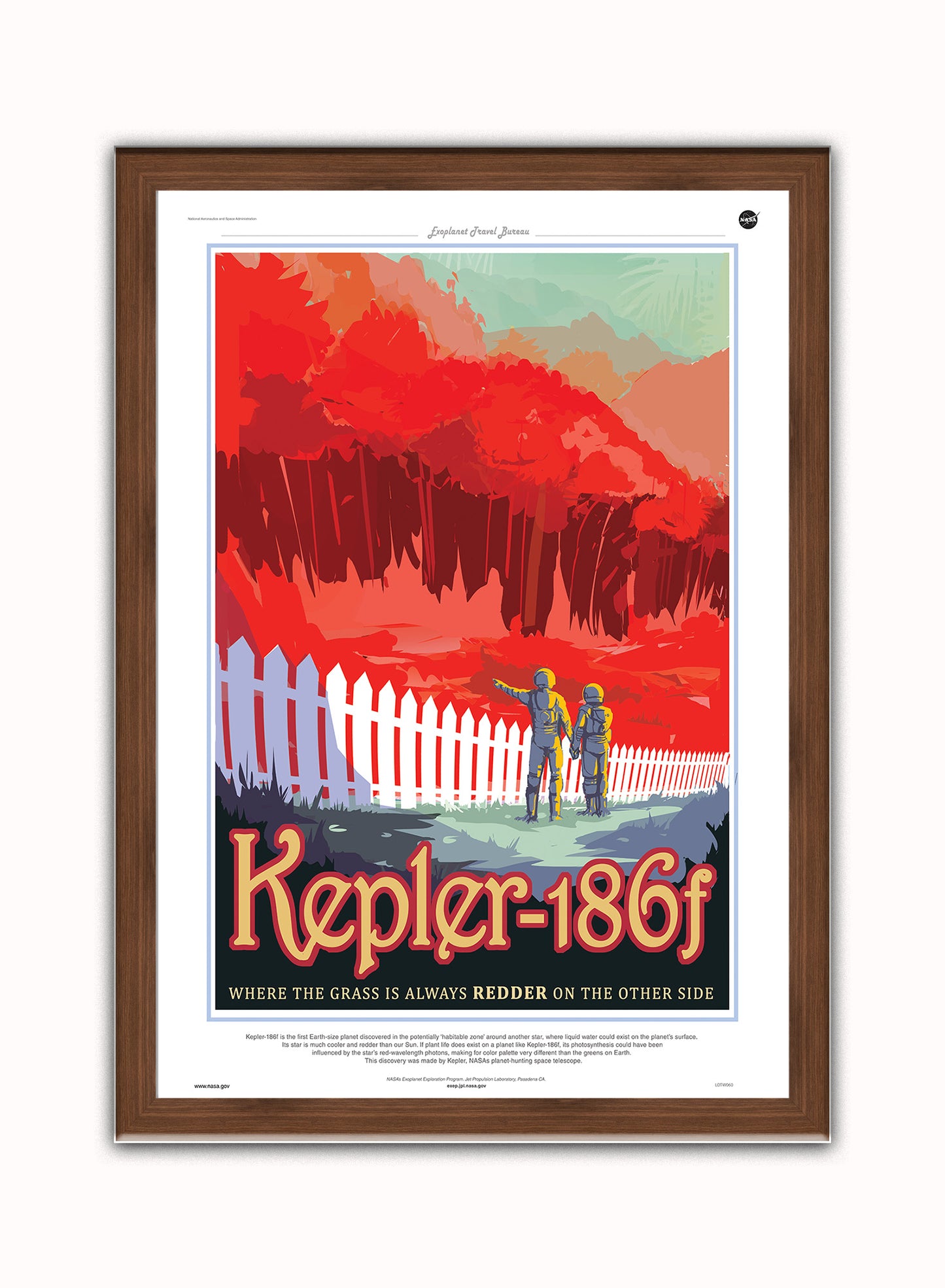 Kepler 186f, Space Travel, Tourism NASA, Solar System, Planets Art Print Poster Vintage Poster Wall Art Print 50x70cm Dark Wood Frame