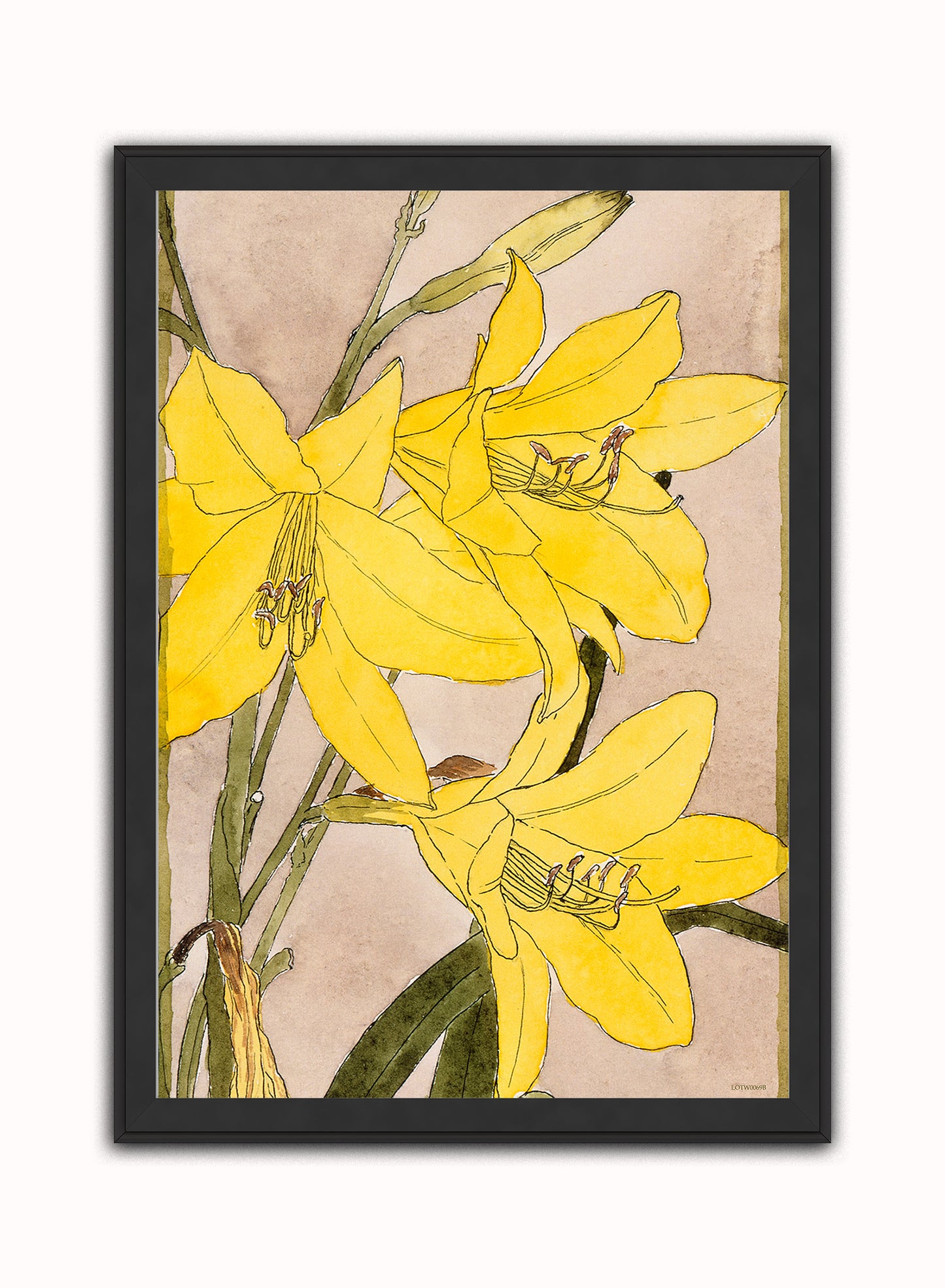 Yellow Daylily by Hannah Borger Overbeck Print – Hannah Borger Overbeck Vintage Art Wall Art 50x70cm Black Frame