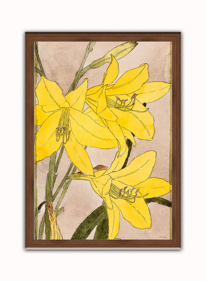 Yellow Daylily by Hannah Borger Overbeck Print – Hannah Borger Overbeck Vintage Art Wall Art 50x70cm Dark Wood Frame