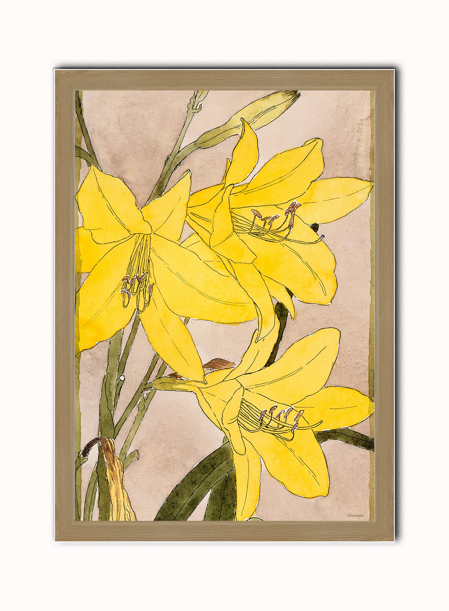 Yellow Daylily by Hannah Borger Overbeck Print – Hannah Borger Overbeck Vintage Art Wall Art 50x70cm Light Wood Frame
