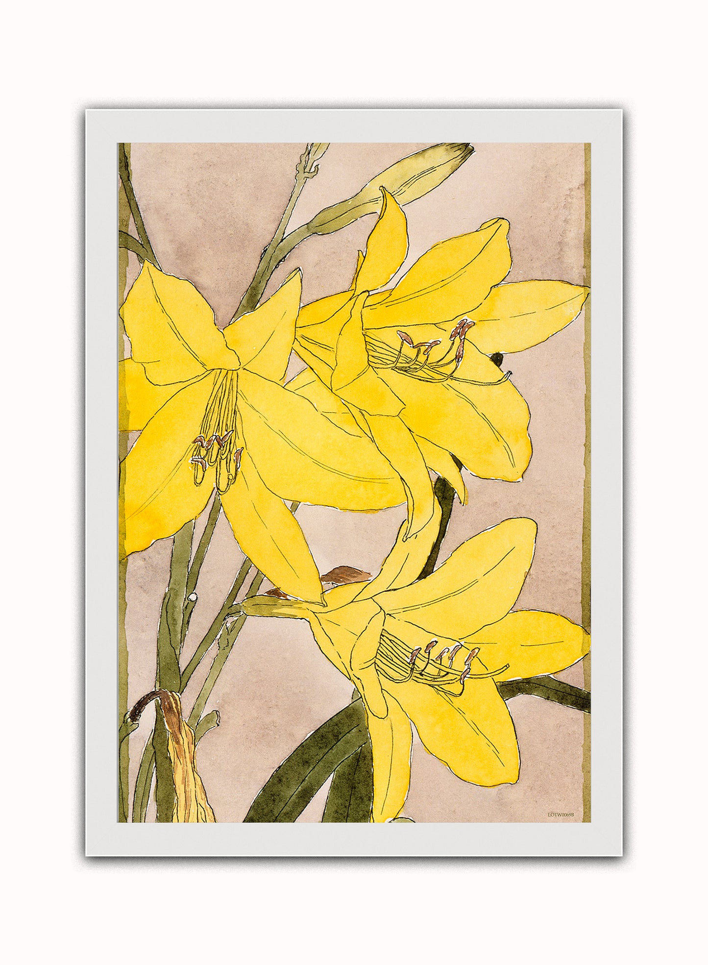 Yellow Daylily by Hannah Borger Overbeck Print – Hannah Borger Overbeck Vintage Art Wall Art 50x70cm White Frame