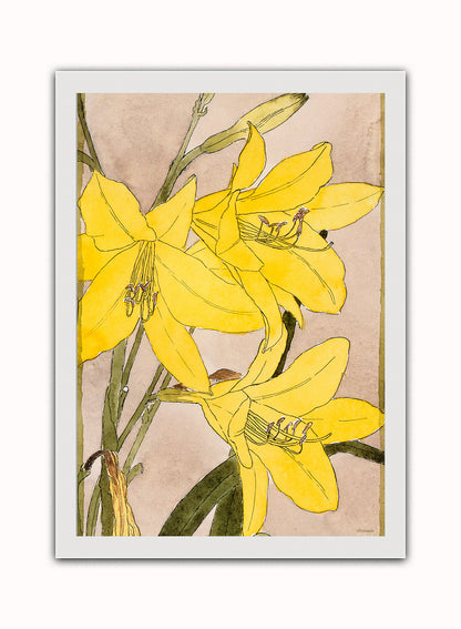 Yellow Daylily by Hannah Borger Overbeck Print – Hannah Borger Overbeck Vintage Art Wall Art 50x70cm White Frame