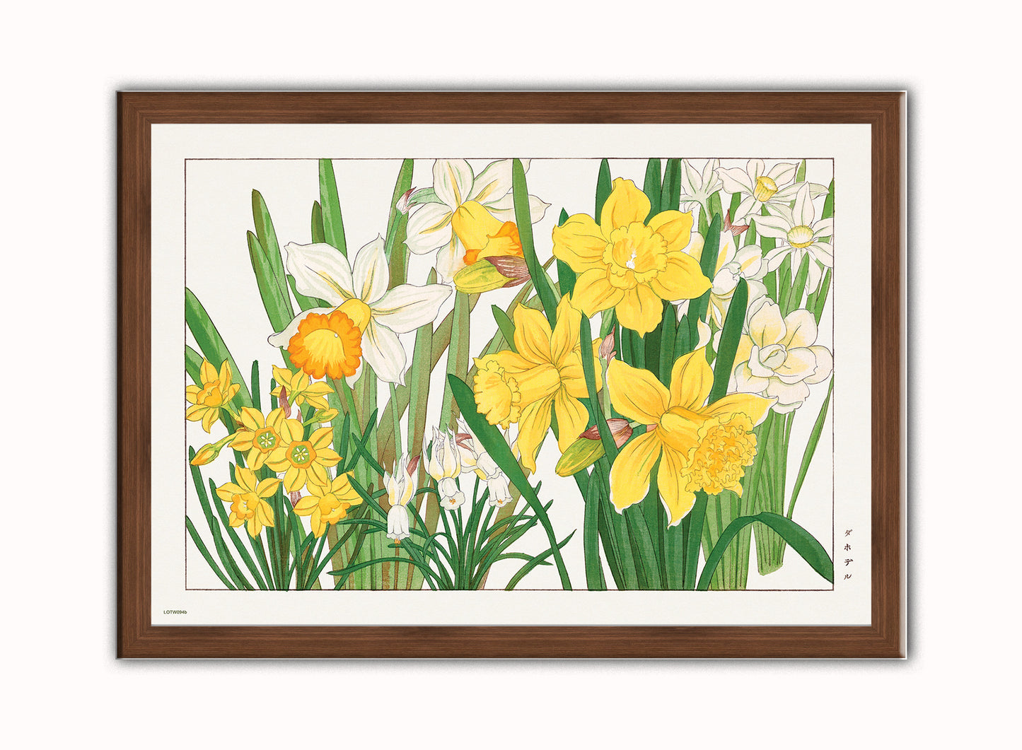 Tanigami Konan Asian Narcissus Daffodils Flowers Botanical Wall Art Print 50x70cm Dark Wood Frame