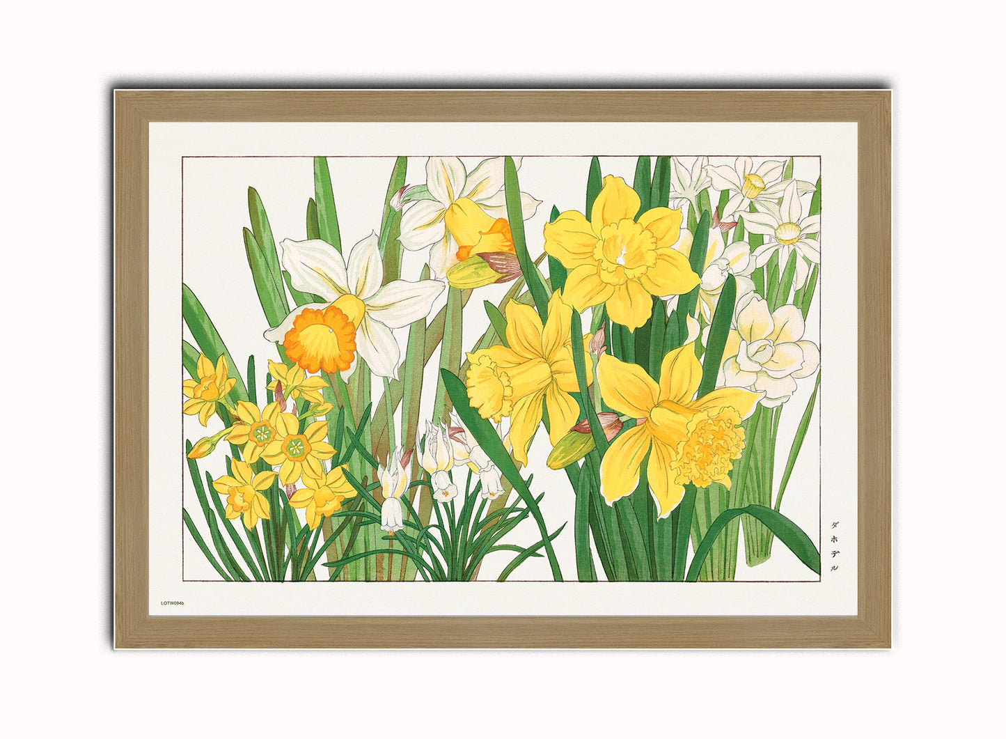 Tanigami Konan Asian Narcissus Daffodils Flowers Botanical Wall Art Print 50x70cm Light Wood Frame