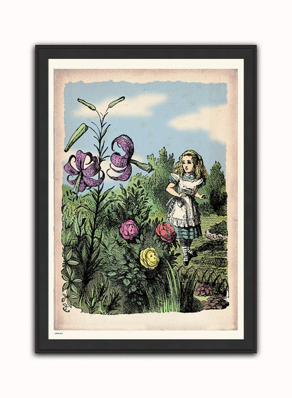 Alice In Wonderland, The Flower Garden, John Tenial Colour Illustration Art Print Poster Botanical Wall Art Print 50x70cm Black Frame