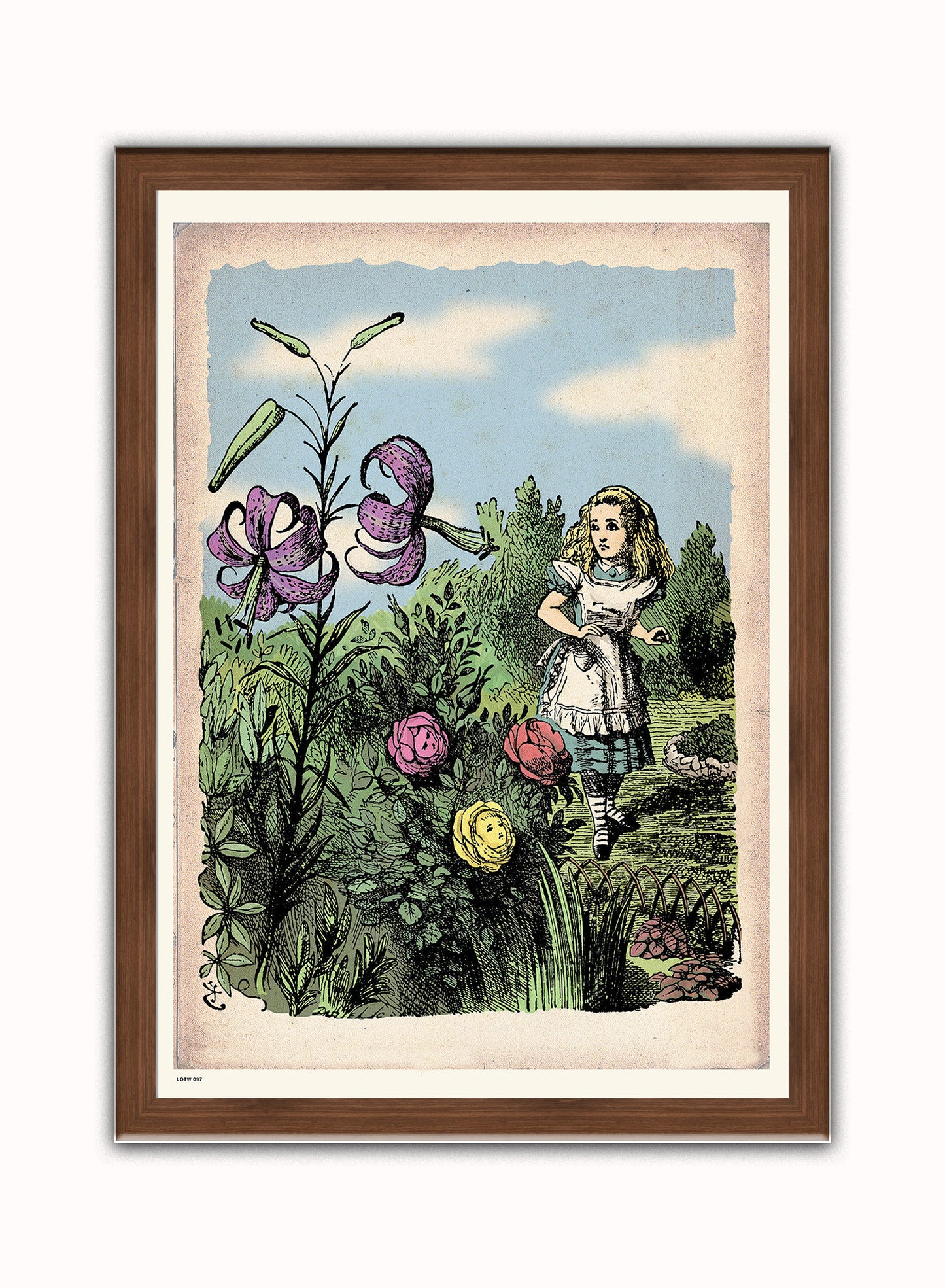Alice In Wonderland, The Flower Garden, John Tenial Colour Illustration Art Print Poster Botanical Wall Art Print 50x70cm Dark Wood Frame