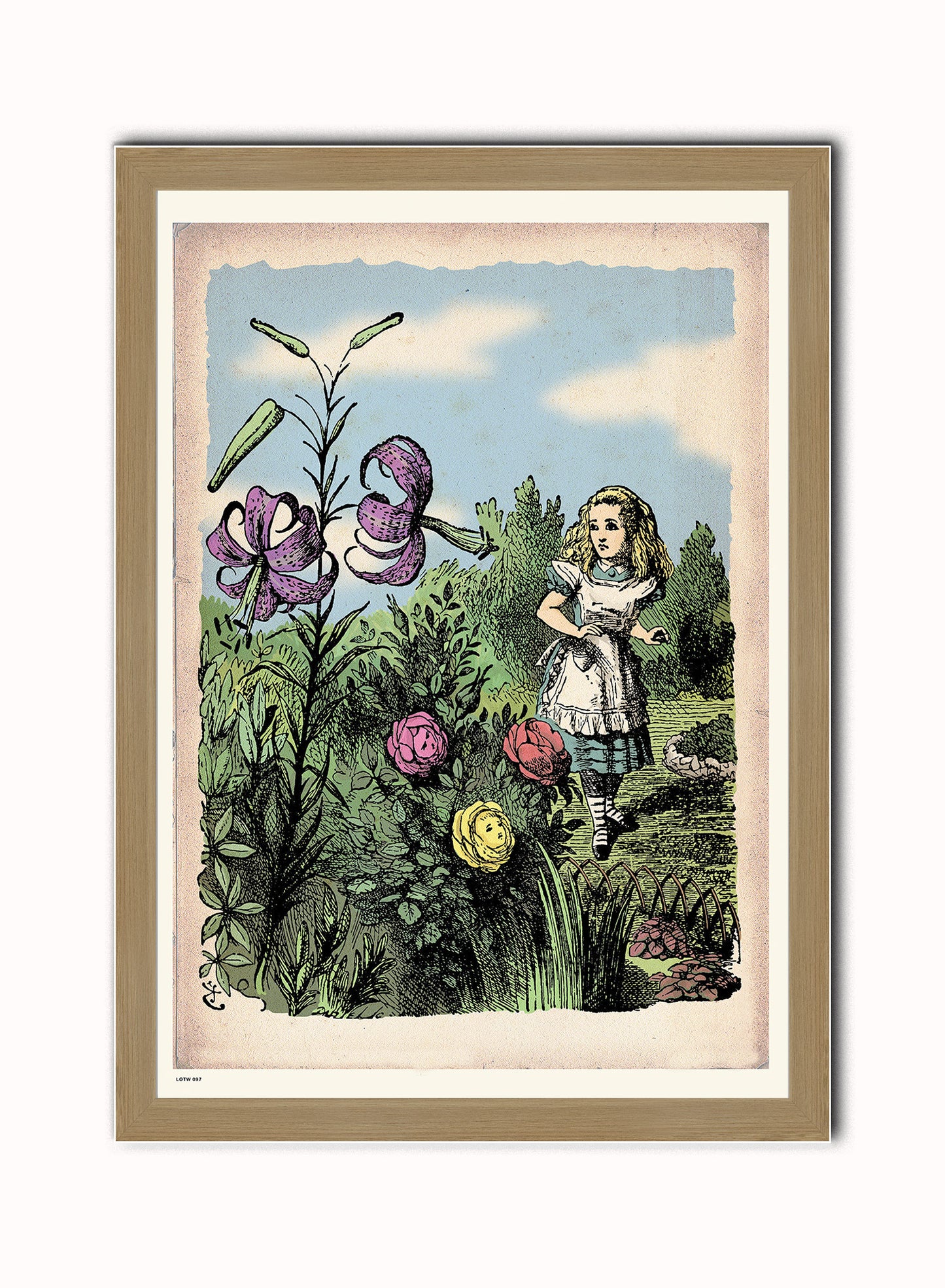 Alice In Wonderland, The Flower Garden, John Tenial Colour Illustration Art Print Poster Botanical Wall Art Print 50x70cm Light Wood Frame