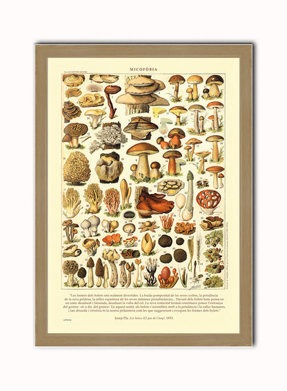 Mushrooms Natural History Vintage Art Wall Art Print 50x70cm Light Wood Frame
