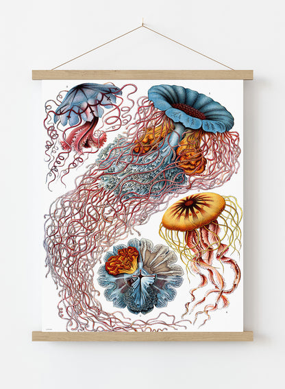 Jellyfish Vintage Art Wall Art Print 50x70cm Poster Hanger