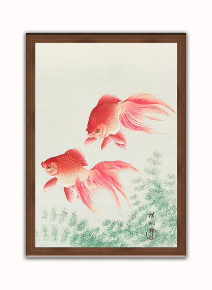 Japanese Art Print Print – Ohara Koson ( Japanese Wall Art 50x70cm Dark Wood Frame