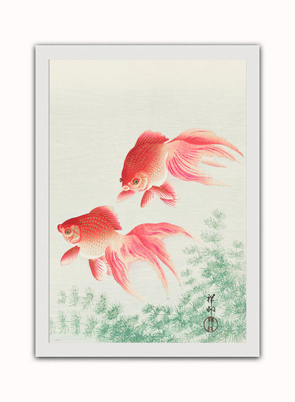 Japanese Art Print Print – Ohara Koson ( Japanese Wall Art 50x70cm White Frame