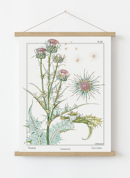 Botanical Print – Maurice Pillard Verneuil. Botanical Wall Art 50x70cm Poster Hanger