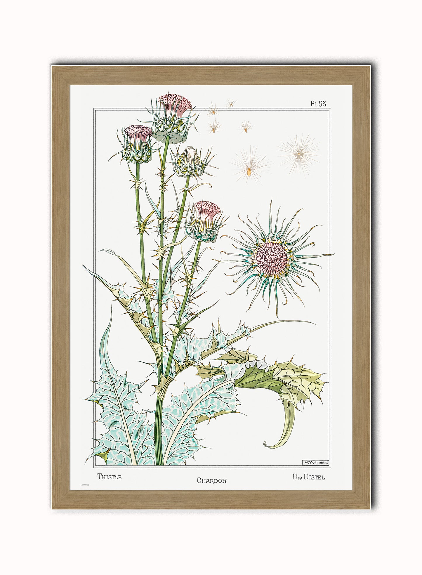 Botanical Print – Maurice Pillard Verneuil. Botanical Wall Art 50x70cm Light Wood Frame