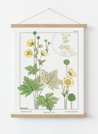 Botanical Print – Maurice Pillard Verneuil. Botanical Wall Art 50x70cm Poster Hanger