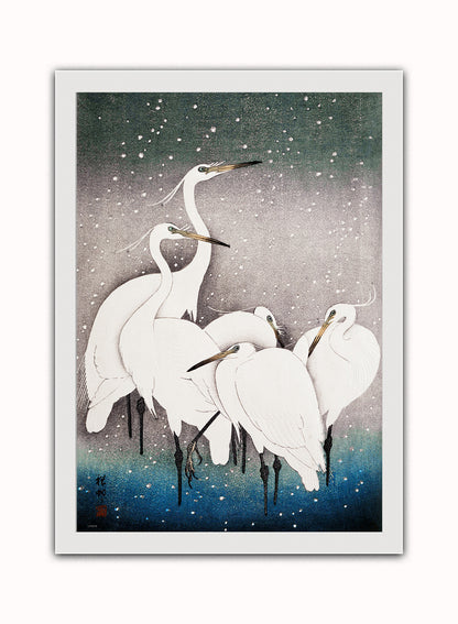 Japanese Art Print Print – Ohara Koson Japanese Wall Art 50x70cm White Frame