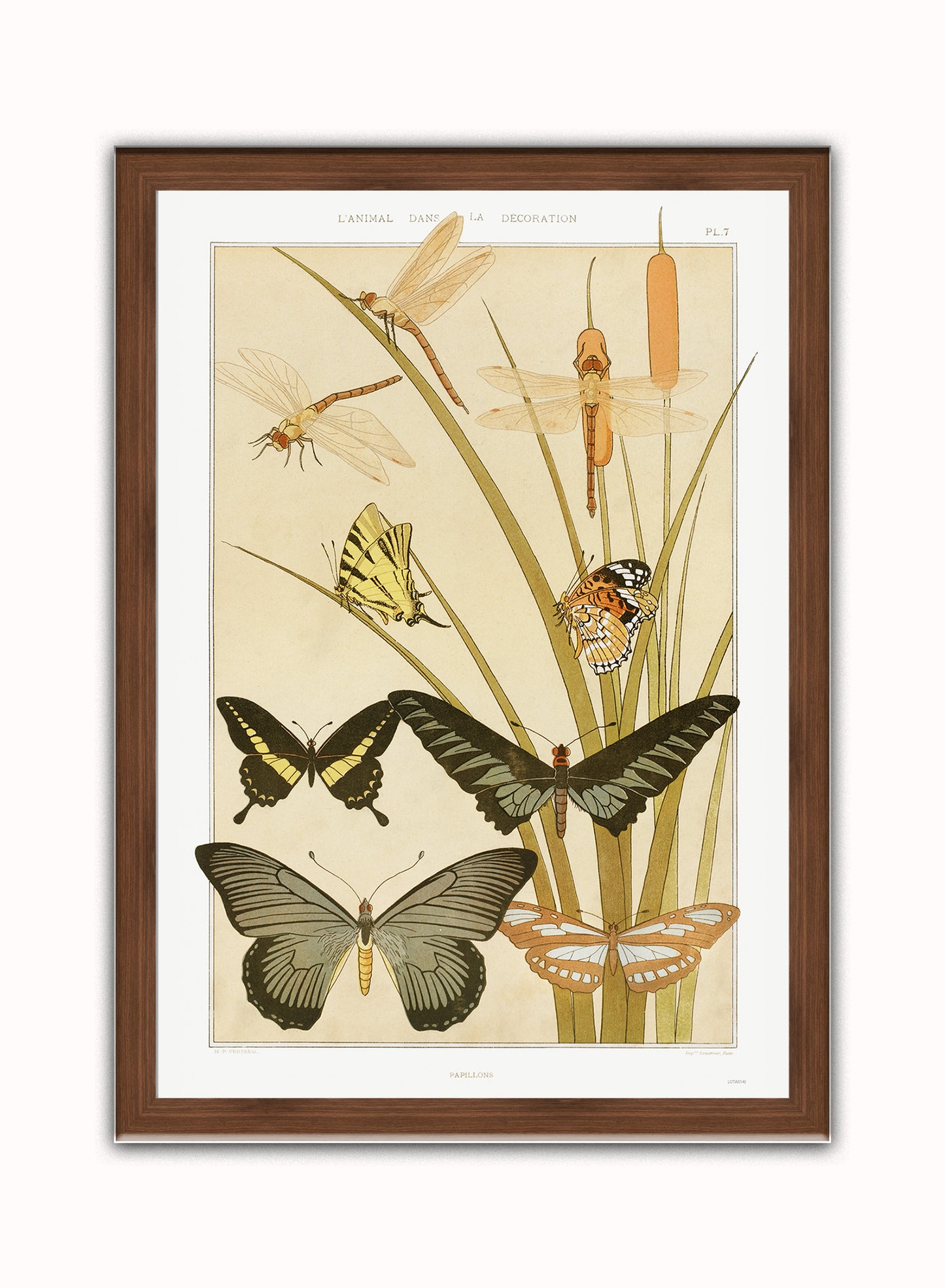 "Papillons" (Butterflies) by Maurice Pillard Verneuil Vintage Art Wall Art Print 70x50cm