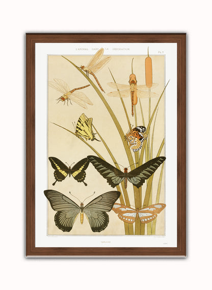 "Papillons" (Butterflies) by Maurice Pillard Verneuil Vintage Art Wall Art Print 70x50cm