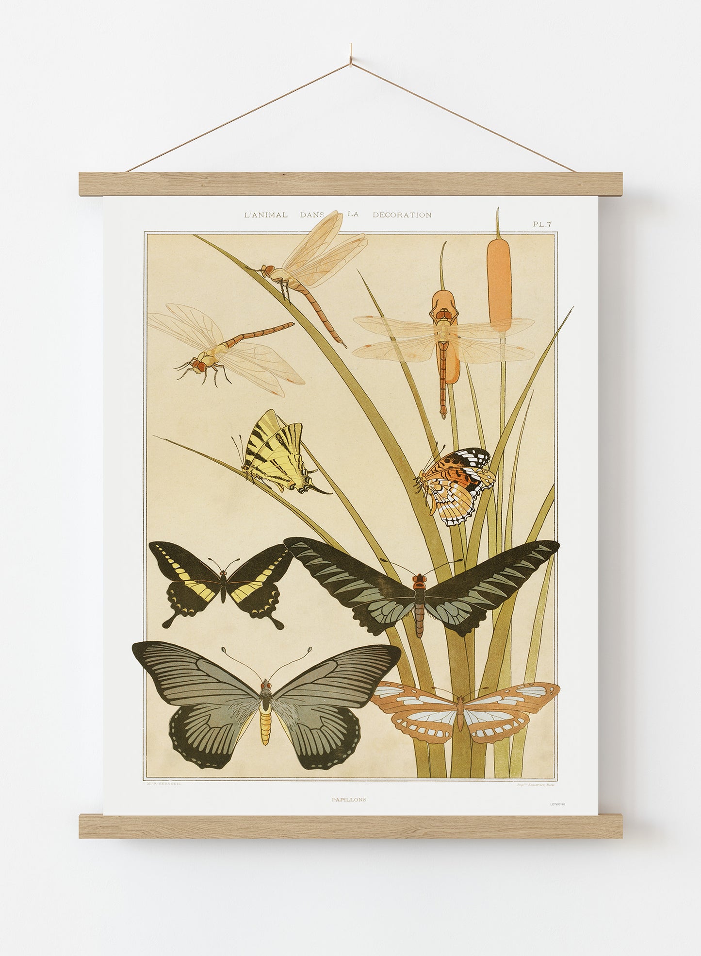 "Papillons" (Butterflies) by Maurice Pillard Verneuil Vintage Art Wall Art Print 70x50cm